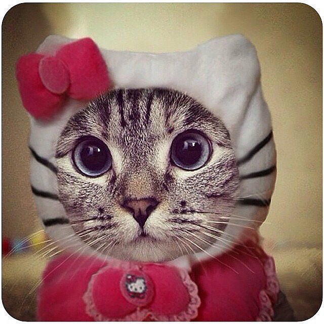 Hello Kitty